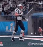 Image result for Rob Gronkowski injury