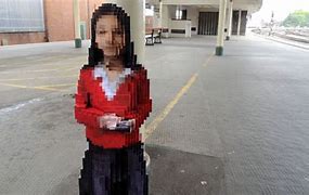 Image result for Pixelated Real-Person