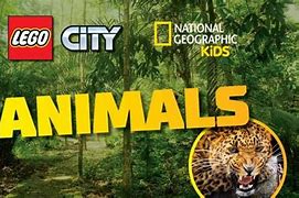 Image result for Animal National Geographic Game