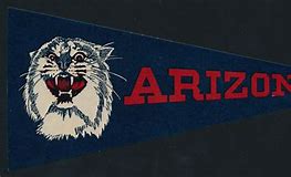 Image result for U of Arizona Colors
