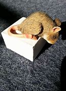 Image result for Carving a Wooden Mouse