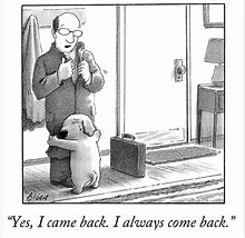 Image result for New Yorker Memes