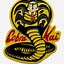 Image result for Cobra Kai iPhone Wallpaper