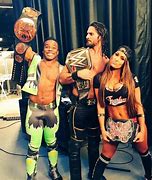 Image result for WWE Seth Rollins and Nikki Bella