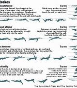 Image result for Swimming Strokes Types