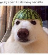 Image result for Cute Doggo Memes Wallpaper