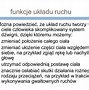 Image result for układ_ruchu