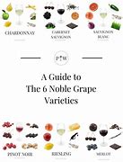 Image result for Noble Grape Varieties