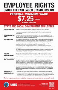 Image result for Local Government All in One Poster