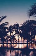 Image result for Sunset Vibes