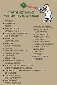 Image result for Mold Allergy
