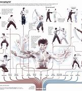 Image result for jeet kune do