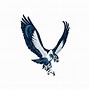 Image result for Seahawks Old Logo