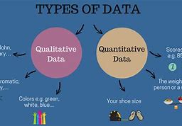 Image result for Comparison of Qualitative and Quantitative