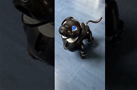 Image result for Aibo Robot Dog Black Sesame