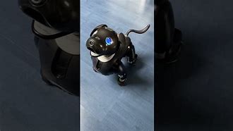 Image result for Sony Aibo Robot Dog 1000