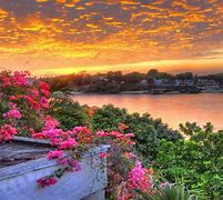 Image result for Beautiful Nature Scenes Summer