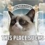 Image result for Grumpy Cat Memes Funny