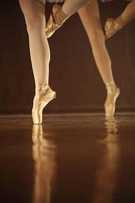 Image result for Ballerina Leg Art