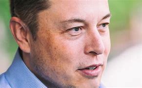 Image result for Rabbit Coin Elon Musk