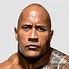 Image result for The Rock as a Sock