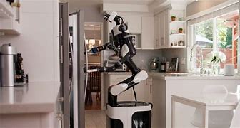 Image result for Home Helper Robot