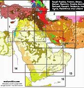 Image result for Middle East Languages