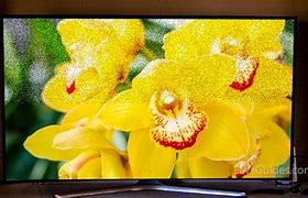 Image result for Grainy Television Screen