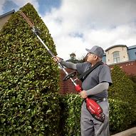 Image result for Milwaukee Hedge Trimmer Attachment Only