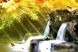 Image result for Animated Nature Screensavers