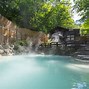 Image result for Secret Hot Springs Japan