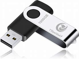 Image result for USB Thumb Drive with Paterb