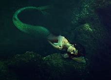 Image result for Do Mermaids Exist