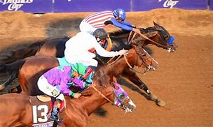 Image result for Horse Racing Silks
