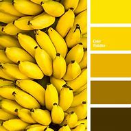 Image result for iPhone to Color