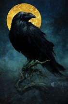 Image result for Raven Artwork