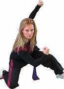 Image result for All Animal Kung Fu Styles