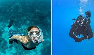 Image result for Snorkeling vs Scuba Diving