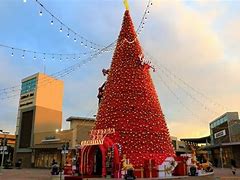 Image result for Taoyuan City Christmas Tree