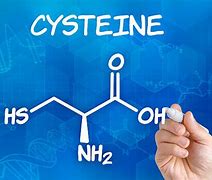 Image result for cystyna