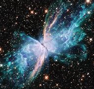 Image result for Fly Nebula