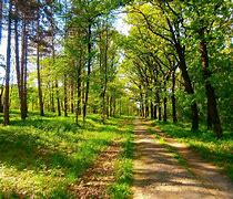 Image result for Serbia Nature Wallpaper