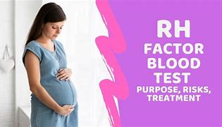 Image result for Rh Factor Pregnancy