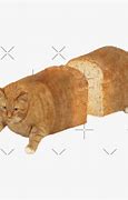 Image result for Cat Bread Loaf Meme