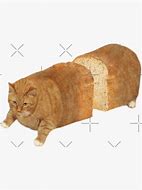 Image result for Bread Loaf Cat Meme
