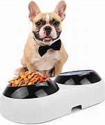 Image result for dogs bowl