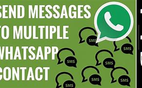 Image result for Whatsapp Contacts