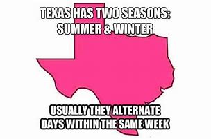 Image result for Winter Weather in Texas Meme