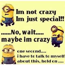 Image result for Minion Crazy People