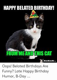 Image result for Happy Belated Birthday Images with Cats